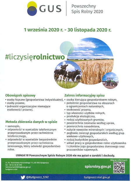 Powszechny spis ludności 2020